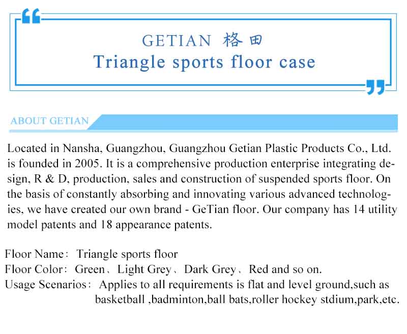 triangle-sports-floor-case